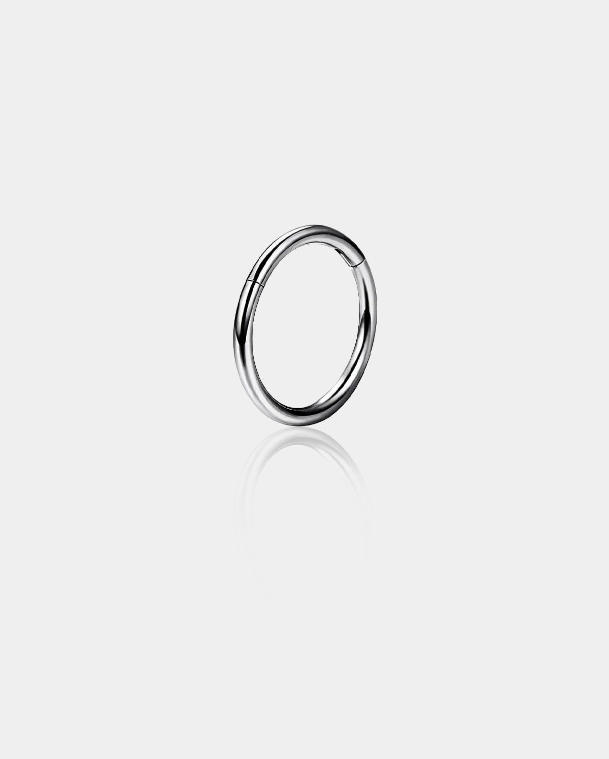 Titanium Hinged Segment Nose Ring