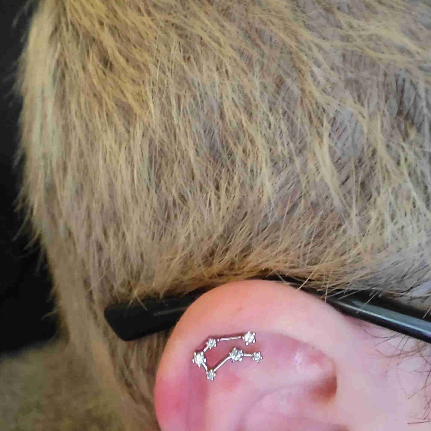 Zodiac Star Constellation Cartilage Stud – OUFER BODY JEWELRY-UK
