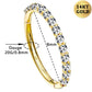 14K Gold 20G Nose Ring Hinged Segment CZ Nose Hoop Ring