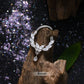 butterfly septum ring oufer body jewelry